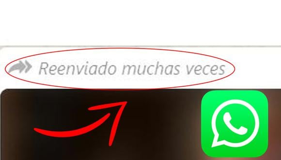 ¿Sabes cómo eliminar el "reenviado muchas veces" en WhatsApp? Usa este truco. (Foto: WhatsApp)