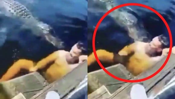 Un video viral muestra lo cerca que estuvo un bañista de ser atacado por un cocodrilo mientras nadaba. | Crédito: @Animalsandfools / Twitter.