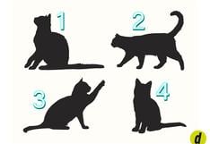 Descubrirás cuáles son tus fortalezas más brillantes con seleccionar una silueta de gato