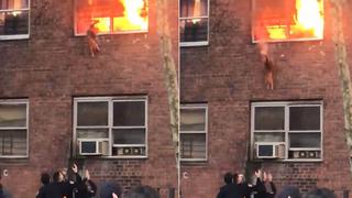 Un gatito protagoniza un aterrador momento al salvarse de un edificio en llamas