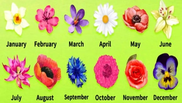 TEST VISUAL | En esta imagen hay varias flores. Cada una representa un mes. (Foto: namastest.net)