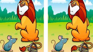 Reta tu agilidad visual hallando las diferencias entre los leones en este reto viral