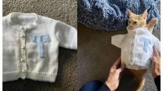 Anciana enternece de esta forma las redes tras tejerle lindos suéteres a su gato para el invierno