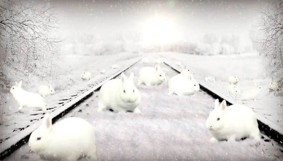 DESAFÍO VISUAL | ¿Puedes contar la cantidad de conejitos blancos en esta imagen de vías de tren nevadas?