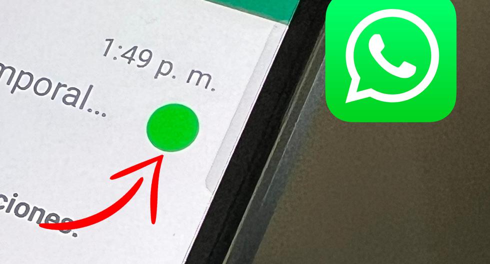 WhatsApp: Why does a green dot appear in your conversations?  Sports play
