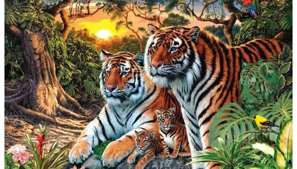 ¿Cuántos tigres ves en esta foto? Cuidado. No te dejes guiar por la primera impresión. (Foto: Twitter de @isharmaneer)
