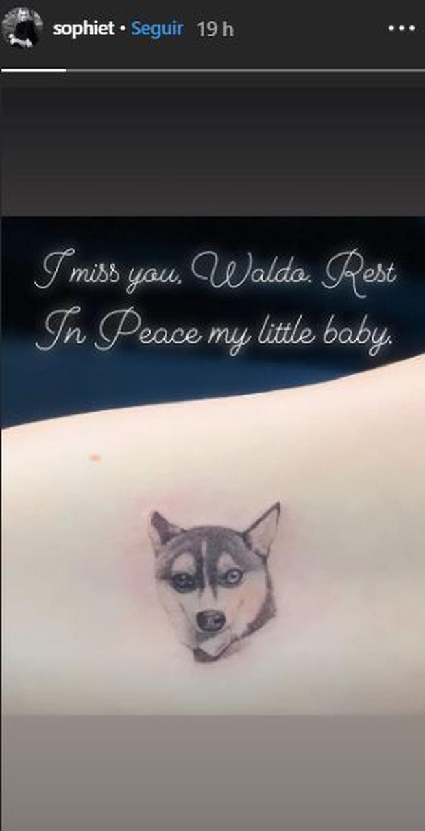 Joe Jonas y Sophie Turner se tatúan en honor a su perro ‘Waldo’ luego de su muerte. (Foto: Captura de Instagram)