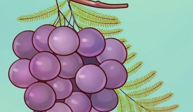 Desafío visual: halla el error en la imagen viral de la uva que es tendencia en redes. (Foto: Facebook)