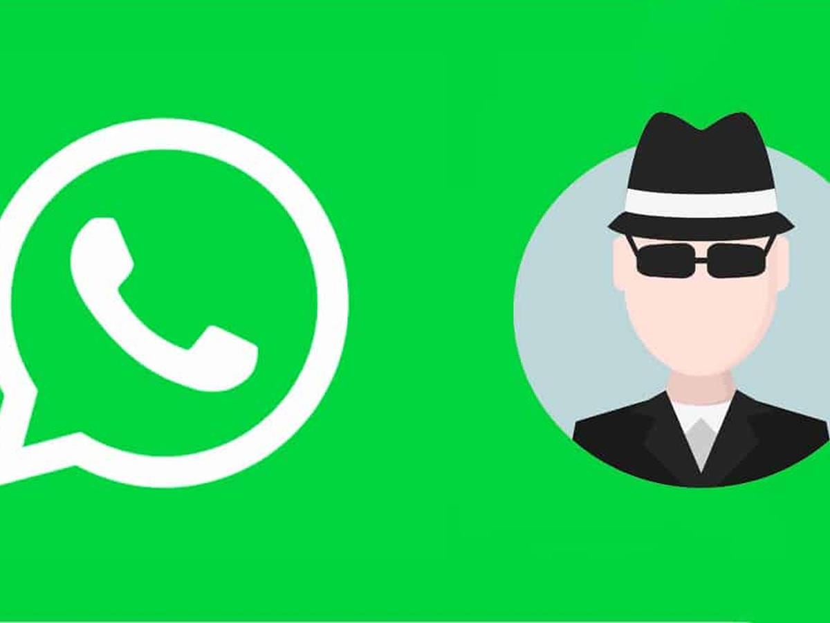 Lo encontré abeja finalizando WhatsApp | Truco 2020 | Cómo saber AHORA quién te espía en la aplicación |  Spy | Who spying you | Aplicaciones | Cuántos desconocidos tienen tu número  | Apps | Wsp
