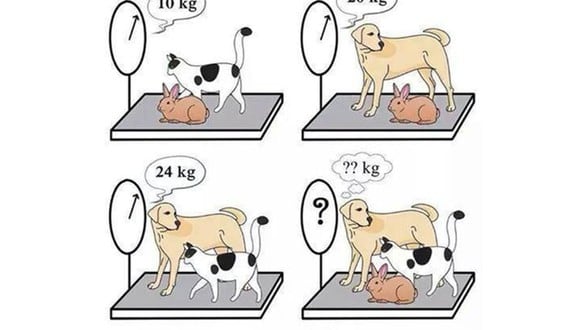 Encuentra el peso del perro, el gato y el conejo en 30 segundos. (Foto: techstarter.com)