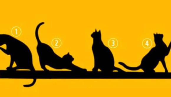 Test viral de hoy: elige a uno de los gatos y podrás definir tu principal propósito de vida. (Foto: Facebook)