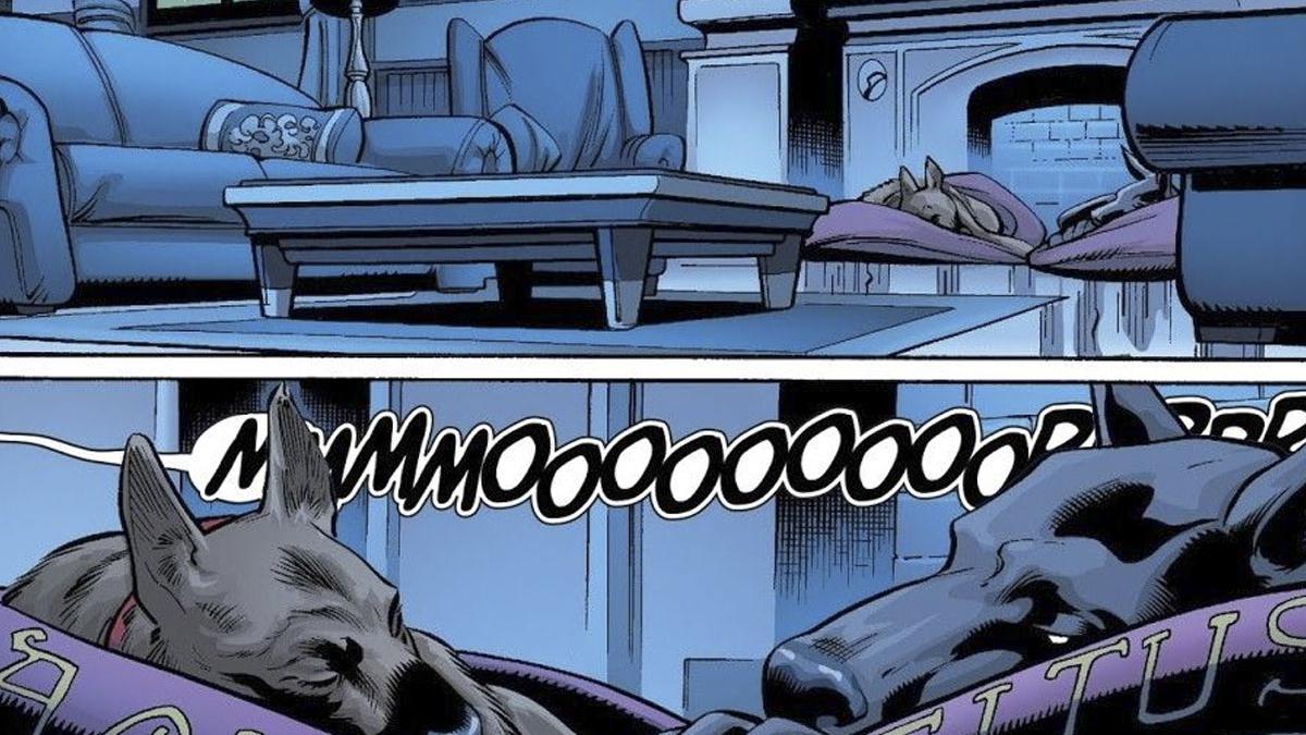 Batman: Titus y Ace, los perros que ayudan a Bruce Wayne a superar la  muerte de Alfred | DC Comics | DEPOR-PLAY | DEPOR