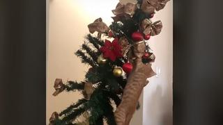A lo ‘Grinch’: gato se trepa así a un árbol navideño y final es tendencia en las redes sociales [VIDEO]