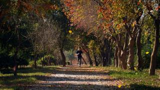 Equinoccio de Otoño, septiembre 2021: cuánto dura, qué es y cómo verlo en México