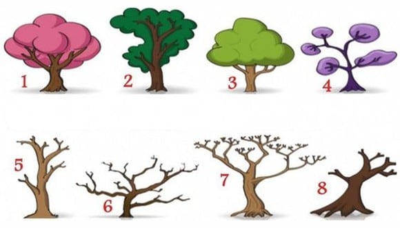 Cada árbol representa un conjunto de características y emociones únicas. Elige el que más te llame la atención y prepárate para descubrir facetas insospechadas de tu personalidad.