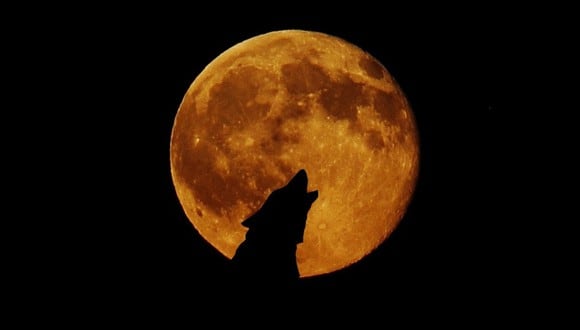 A qué hora se podrá ver la Luna Llena del Lobo 2024 este jueves 25 de enero en diferentes países del mundo | Foto: Pixabay