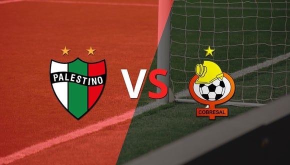 Chile - Primera División: Palestino vs Cobresal Fecha 14