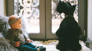 ¡Demasiada ternura para los ojos! Perro “enseña” a una bebé ‘cómo gatear’ y emociona en redes