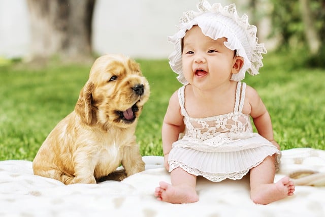 Un perro sorprendió a propios y extraños al hablar antes que un bebé. (Fotos: Pixabay/Referencial)