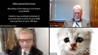 Viral: abogado aparece con tierno filtro de gato en importante juicio virtual