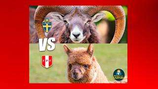 Perú vs. Suecia: los memes calientan la previa del último partido amistoso de la bicolor