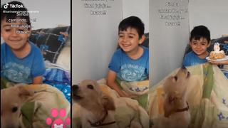 Entonado y con mucha felicidad: perrito cantó la canción de cumpleaños a su pequeño dueño [VIDEO]