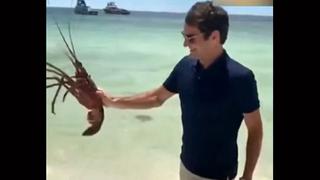 Lo agarró desprevenido: la reacción de Roger Federer ante el ataque de una langosta [VIDEO]