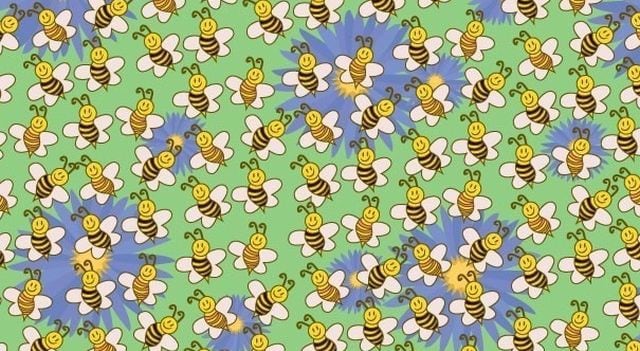 Encuentra al impostor entre las abejas de esta imagen viral. (Fabiosa)