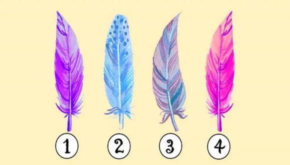 TEST VISUAL | En esta imagen se pueden apreciar muchas plumas. Elige una. (Foto: namastest.net)
