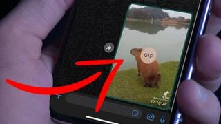 WhatsApp: cómo habilitar la reproducción automática de GIFs