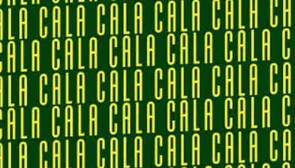 En esta imagen, cuyo fondo es de color verde, abundan las palabras ‘CALA’. Entre ellas, está el término ‘SALA’. (Foto: MDZ Online)