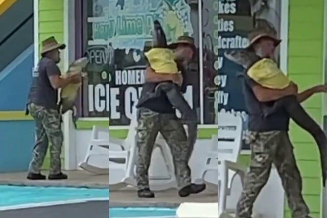 Un hombre de Florida y su lagarto mascota vestido "a la moda" tomaron por asalto las redes sociales. (Foto: @rachel_bowman en TikTok)