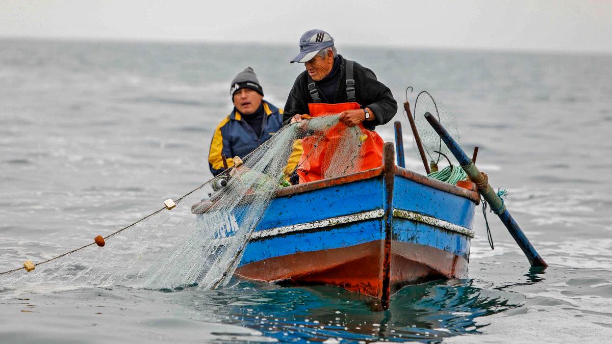 Los pescadores artesanales podrán cobrar un bono hasta el mes de febrero de 2024. (Foto: Ministerio de la Producción)