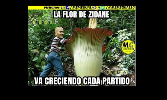 Los mejores memes de la victoria de Real Madrid ante Osasuna por LaLiga.