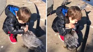Hombre graba el momento en que su hijo y un pato se vuelven amigos
