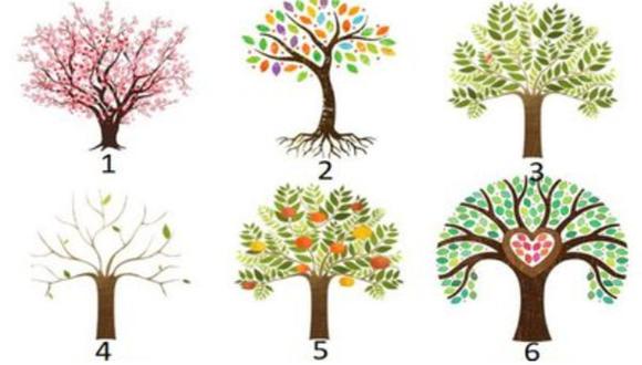 Descubre qué te depara el destino con solo elegir uno de los árboles de este test viral (Foto: Facebook).
