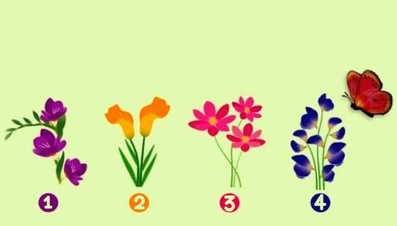 ¿Te interesa descubrir qué tipo de amante eres? Este fascinante test visual te invita a elegir una de las cinco flores que aparecen en la imagen, guiándote únicamente por tu intuición.
