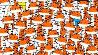 ¿Crees poder ubicar los cuatro gatos escondidos entre los tigres? Resuelve el viral en 10 segundos [FOTO]