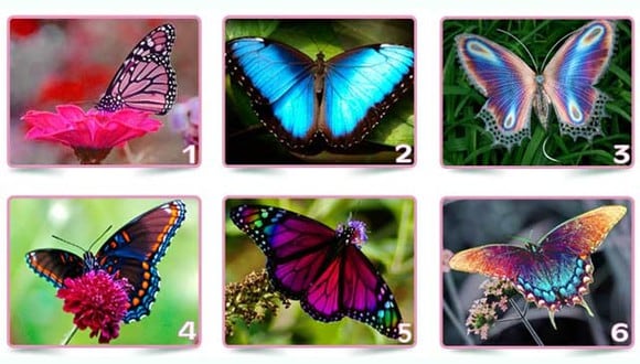 TEST VISUAL | ¿Te gustan los tests que te ayudan a conocerte mejor? Este de las mariposas te sorprenderá. Observa las 6 imágenes y elige la que más te atraiga.