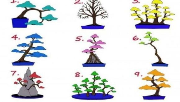 Elige uno de los árboles y descubre cuál es el trabajo perfecto para ti (Foto: Facebook).