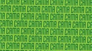 Usa tu ‘vista de halcón’ para encontrar la palabra ‘CANA’ en menos de 10 segundos