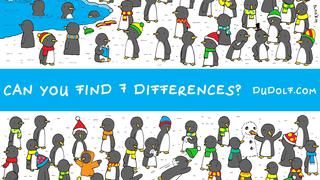 ¿Puedes ver las 7 diferencias en el reto visual de pingüinos? Tienes 15 segundos