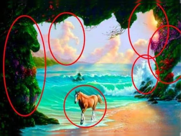 Here I show you the location of each horse in this tricky visual puzzle.|  Photo: namastest