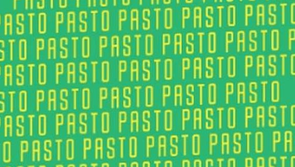 En esta imagen está la palabra ‘GASTO’ y tú tienes que hallarla. (Foto: MDZ Online)