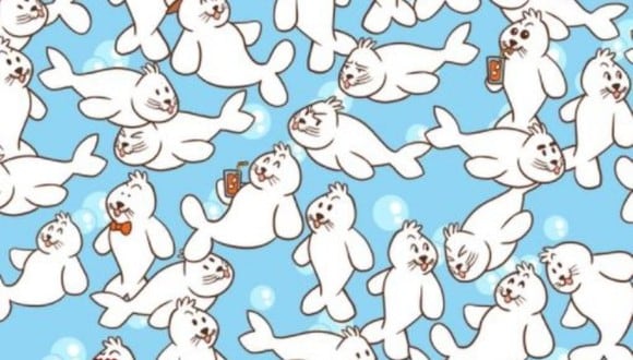 Acertijo visual imposible de resolver: ¿lograrás hallar el ‘marshmallow’ oculto entre las focas? (Foto: Genial.Guru)