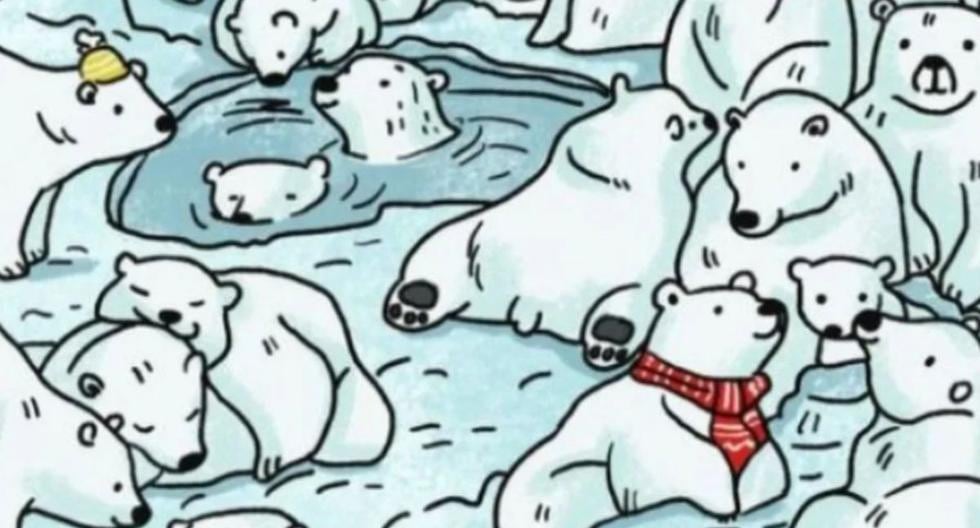 ¿Puedes encontrar a la foca entre los osos polares de esta imagen viral? (Facebook)