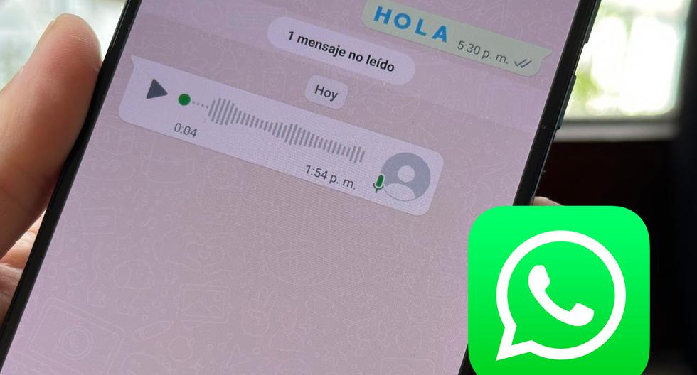 WhatsApp |  What to do when you can’t download voice messages |  Voice notes |  Messages |  Features |  Storage |  nda |  nnni |  sports game