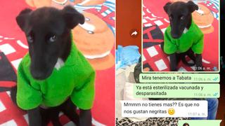 Mujer no acepta adoptar a un perro de pelaje negro y las redes sociales la acusan de racista