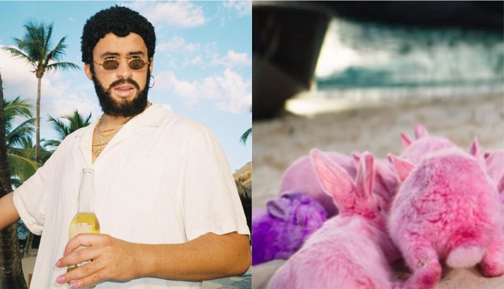 Bad Bunny es acusado de maltrato animal por pintar conejos para el videoclip de su tema “Ni bien ni mal”. (Foto: @badbunny)