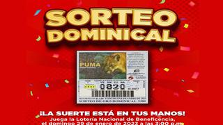 Lotería Nacional de Panamá - Sorteo del 29 de enero: resultados y números ganadores